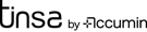Logo Grupo Tinsa by Accumin — cliente Servicios de Ploy