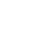 INSUMOS_icono pasion por los resultados