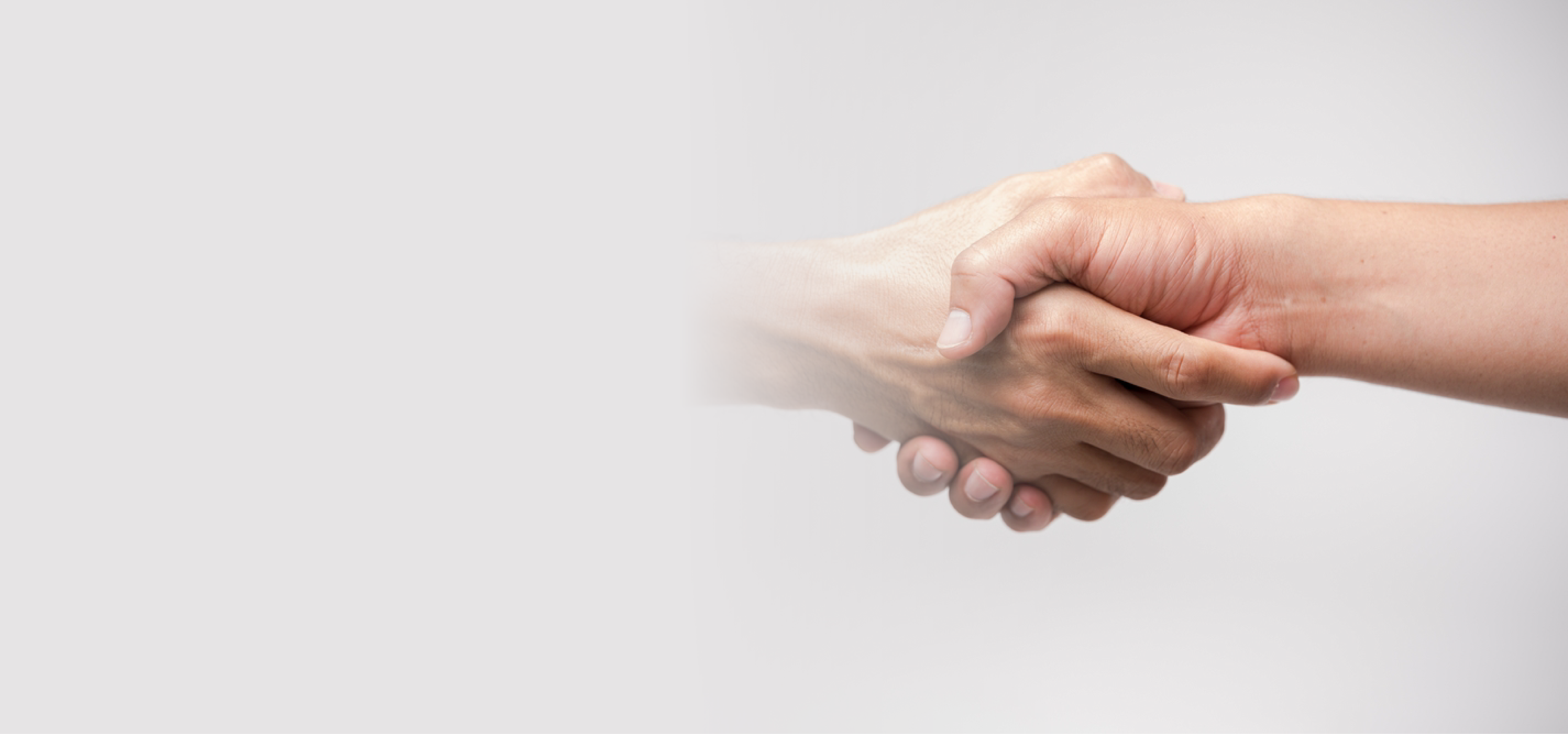 INSUMOS_manos entrelazadas