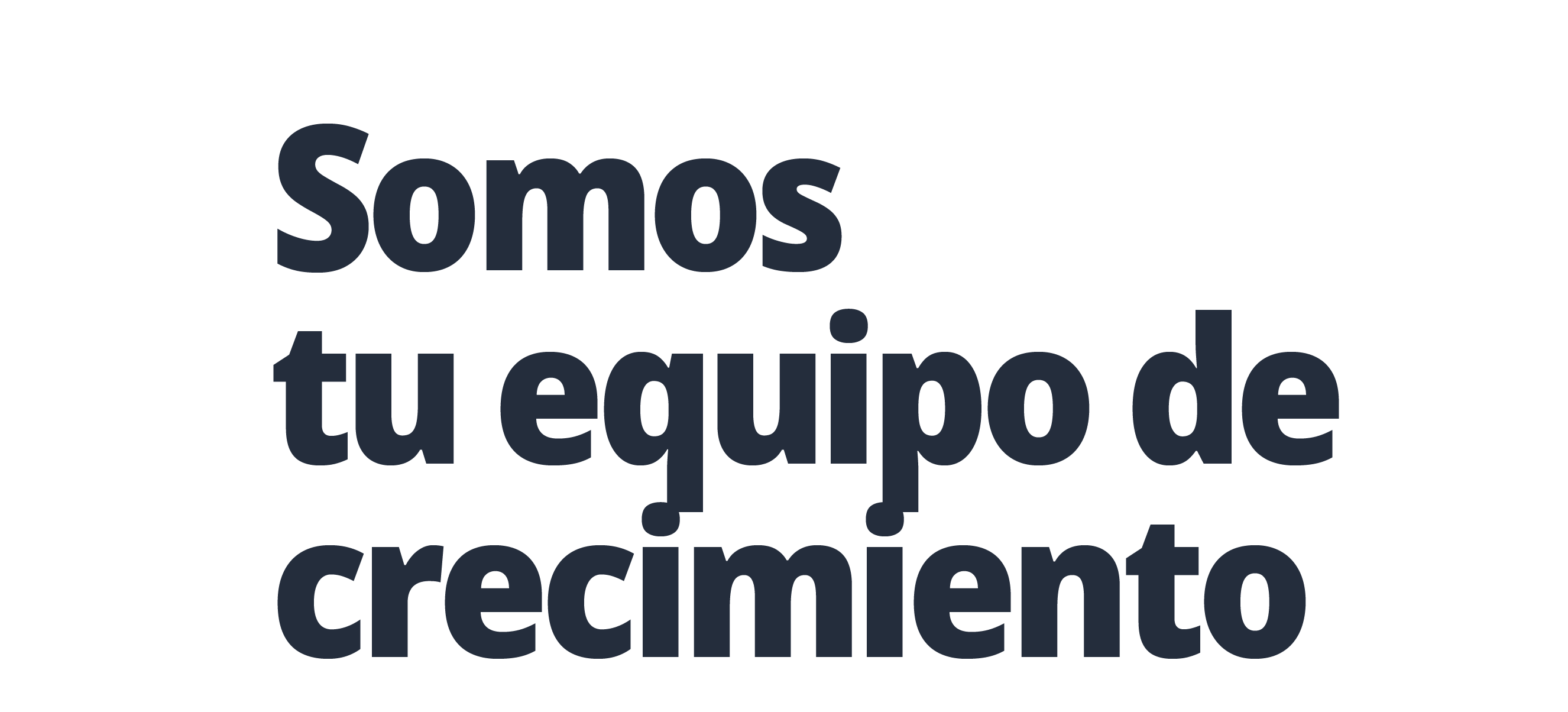 INSUMOS_somos tu equipo