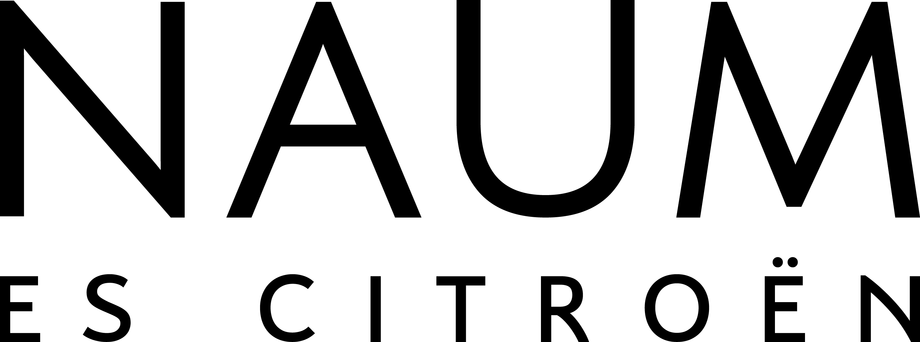 Logo Naum Citroën — caso de éxito Ploy HubSpot